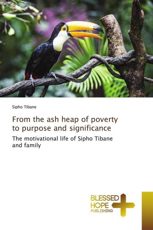 Produktbild: From the ash heap of poverty to purpose and significance