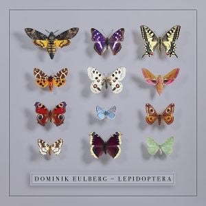 Produktbild: Lepidoptera