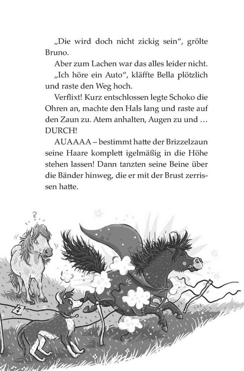 Produktbild: Die Haferhorde 4: Schmetterlinge im Ponybauch