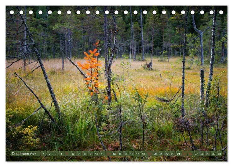 Produktbild: Wandern - In Norwegen und Schweden (Tischkalender 2027 DIN A5 quer), CALVENDO Monatskalender
