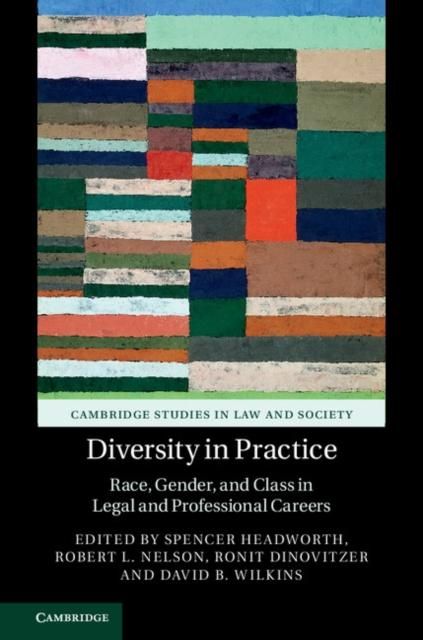Produktbild: Diversity in Practice