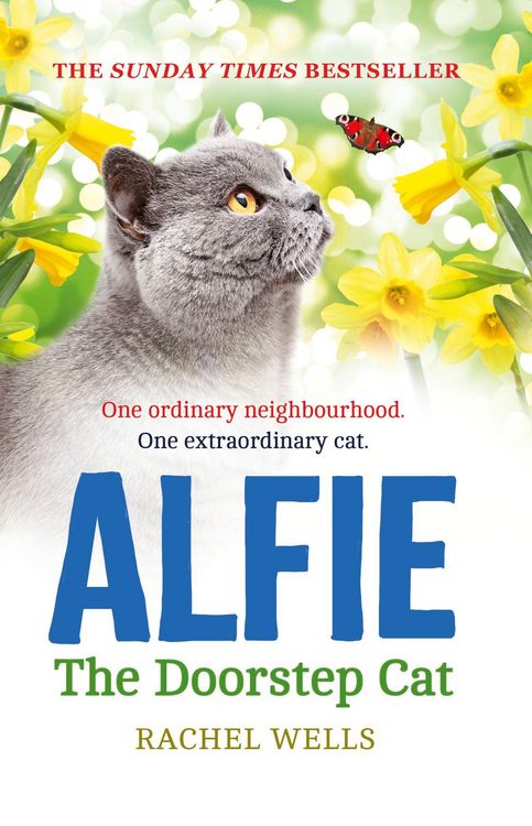 Produktbild: Alfie the Doorstep Cat