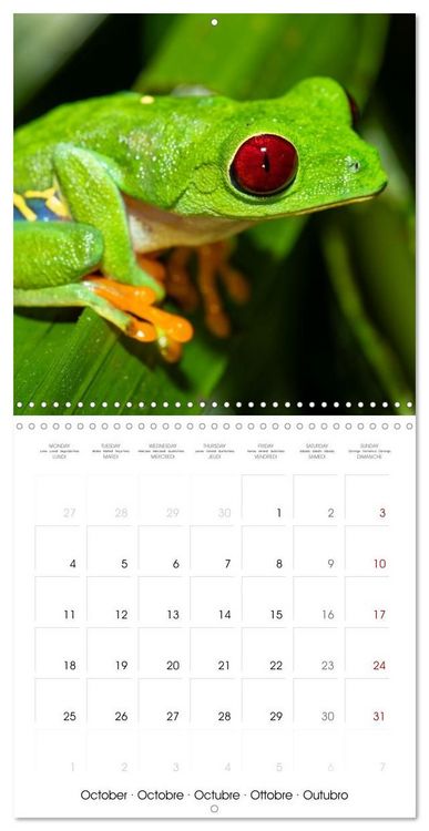 Produktbild: Costa Rica wild and peaceful (Wall Calendar 2027 12 &times; 12 Inch) CALVENDO 12 Month Wall Calendar