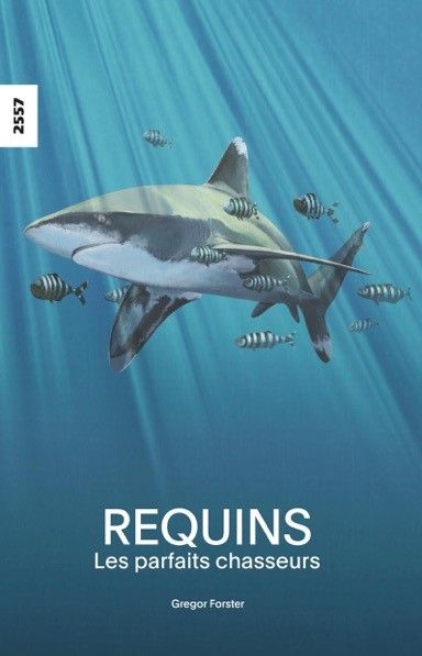 Produktbild: Requins