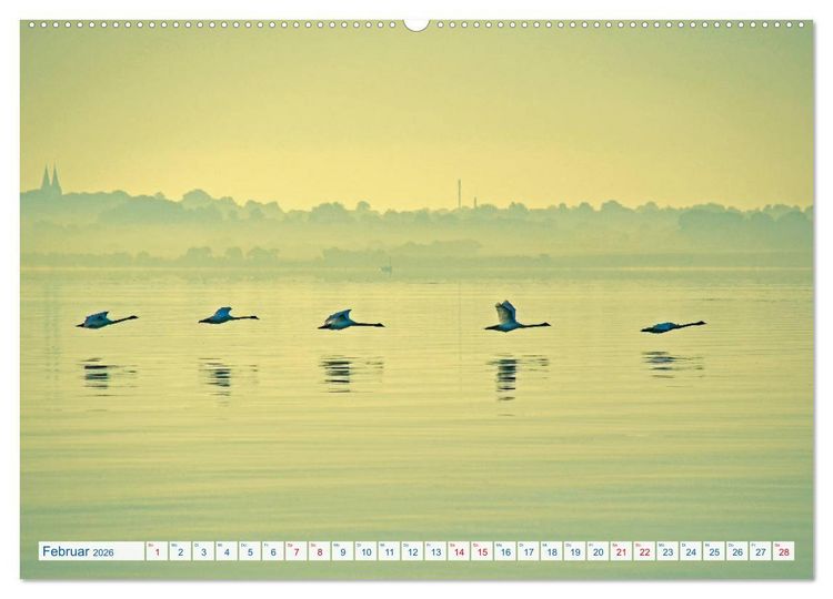 Produktbild: Flensburg Fjord (hochwertiger Premium Wandkalender 2026 DIN A2 quer), Kunstdruck in Hochglanz