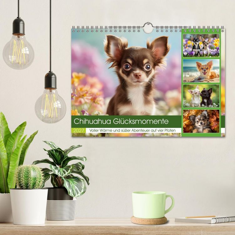 Produktbild: Chihuahua Gl&uuml;cksmomente (Wandkalender 2027 DIN A4 quer), CALVENDO Monatskalender