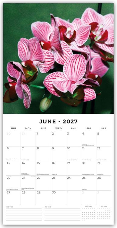 Produktbild: Orchids &ndash; Orchideen 2027 &ndash; 16-Monatskalender