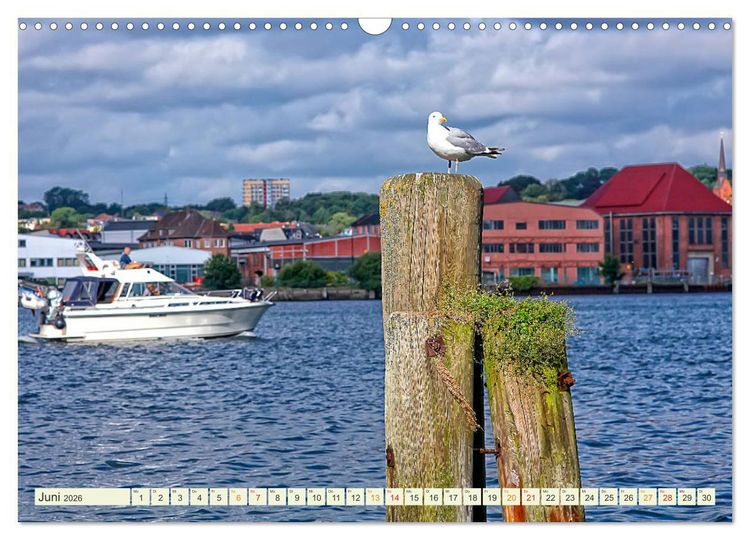 Produktbild: Bezauberndes Flensburg (Wandkalender 2026 DIN A3 quer), CALVENDO Monatskalender