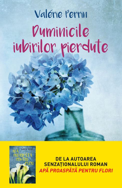 Produktbild: Duminicile iubirilor pierdute