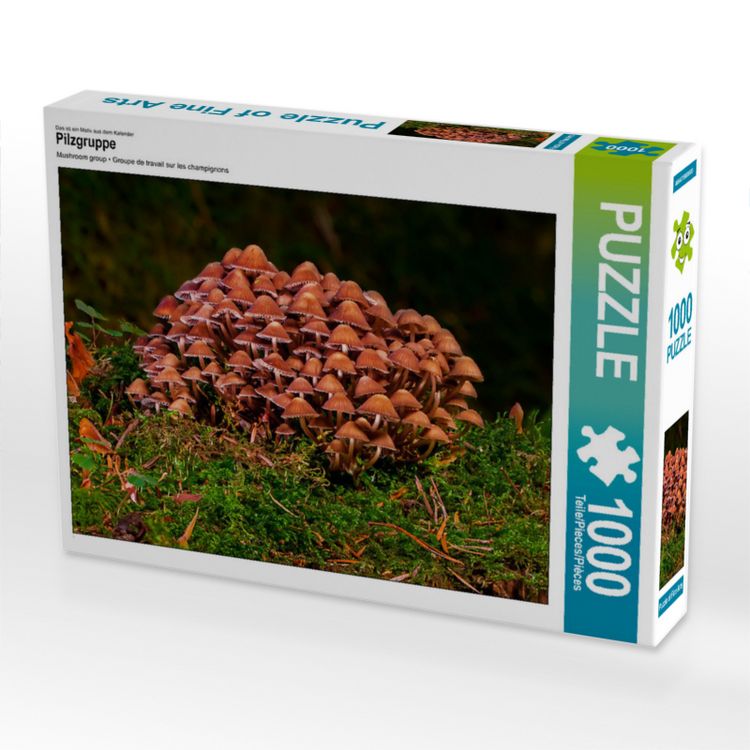 Produktbild: CALVENDO Puzzle Pilzgruppe 1000 Teile Lege-Gr&ouml;&szlig;e 640 x 480 cm Foto-Puzzle Bild von Peter Roder