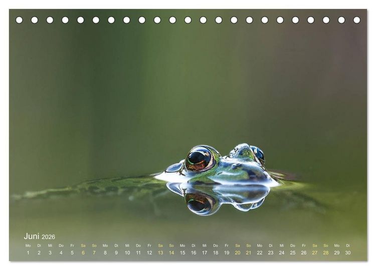 Produktbild: Fr&ouml;sche zum Verlieben (Tischkalender 2026 DIN A5 quer), CALVENDO Monatskalender