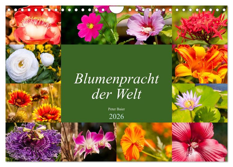 Produktbild: Blumenpracht der Welt (Wandkalender 2026 DIN A4 quer), CALVENDO Monatskalender