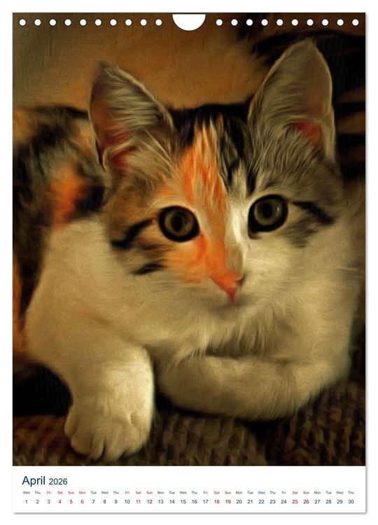 Produktbild: Umbrian Cats (Wall Calendar 2026 DIN A4 portrait), CALVENDO 12 Month Wall Calendar