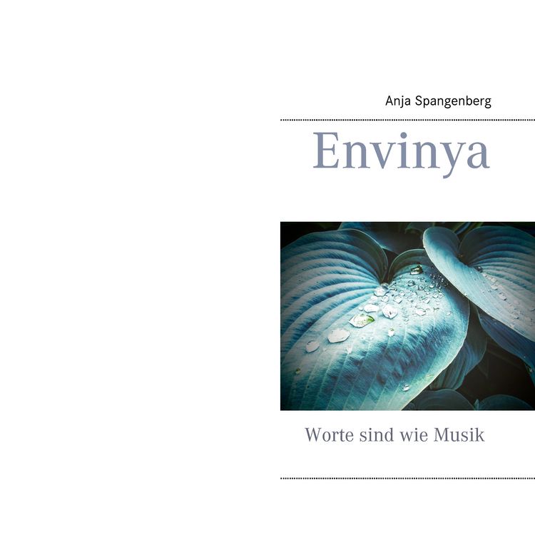 Produktbild: Envinya