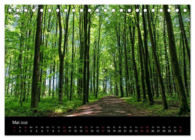 Produktbild: Meerbusch. Meerer Busch (Tischkalender 2026 DIN A5 quer), CALVENDO Monatskalender