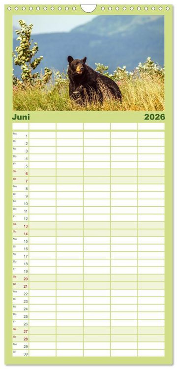 Produktbild: Familienplaner 2026 - B&auml;ren - Pandas, Grizzlyb&auml;ren und Co. mit 5 Spalten (Wandkalender, 21 x 45 cm) CALVENDO