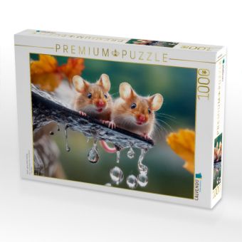 Produktbild: CALVENDO Puzzle Oooh - ganz sch&ouml;n rutschig | 1000 Teile Lege-Gr&ouml;&szlig;e 64x48cm Foto-Puzzle f&uuml;r gl&uuml;ckliche Stunden