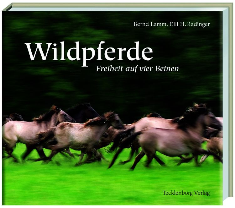 Produktbild: D&uuml;lmener Wildpferde