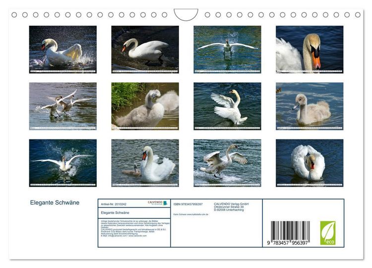 Produktbild: Elegante Schw&auml;ne (Wandkalender 2026 DIN A4 quer), CALVENDO Monatskalender