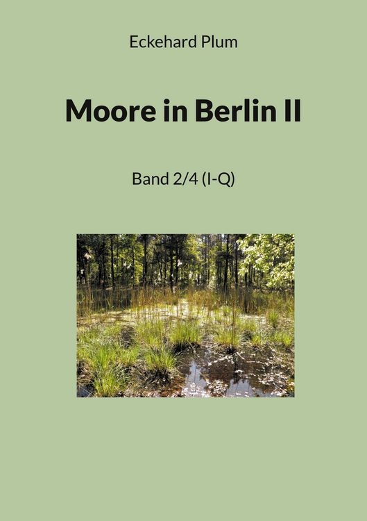 Produktbild: Moore in Berlin II