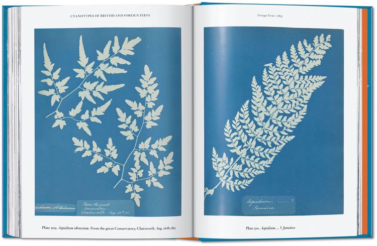 Produktbild: Anna Atkins