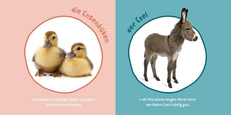Produktbild: Baby Pixi (unkaputtbar) 183: Mein Baby-Pixi-Buggybuch: Meine ersten Tiere