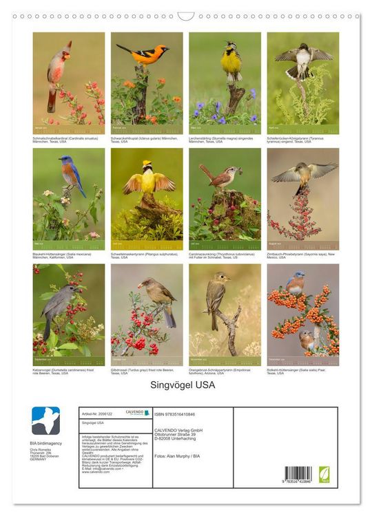 Produktbild: Singv&ouml;gel USA (Wandkalender 2026 DIN A2 hoch), CALVENDO Monatskalender