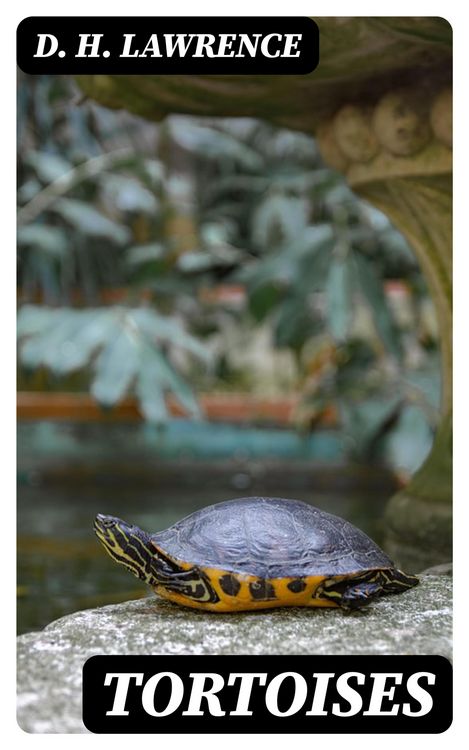 Produktbild: Tortoises