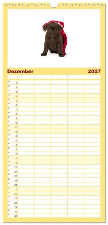 Produktbild: Familienplaner 2027 - Labrador - Welpen mit 5 Spalten (Wandkalender, 21 x 45 cm) CALVENDO
