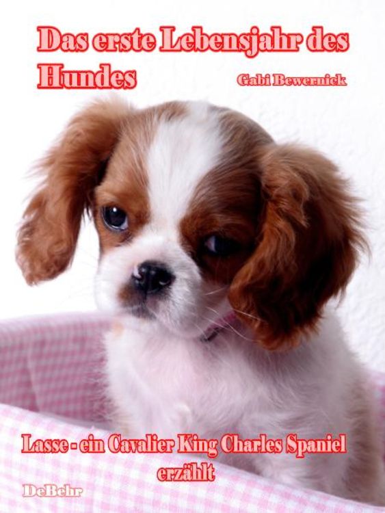 Produktbild: Das erste Lebensjahr des Hundes - Lasse - eine Cavalier King Charles Spaniel erz&auml;hlt