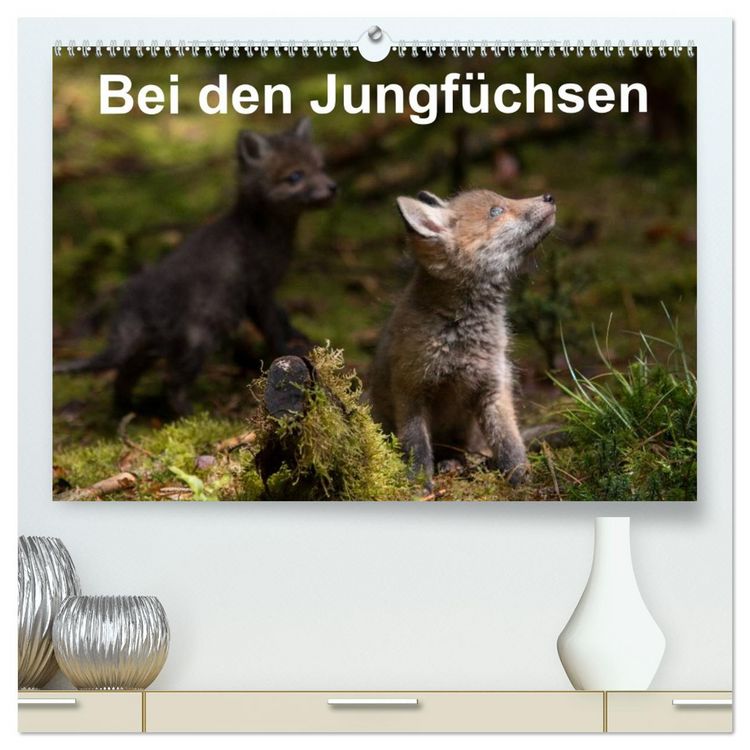 Produktbild: Bei den Jungf&uuml;chsen (hochwertiger Premium Wandkalender 2026 DIN A2 quer), Kunstdruck in Hochglanz