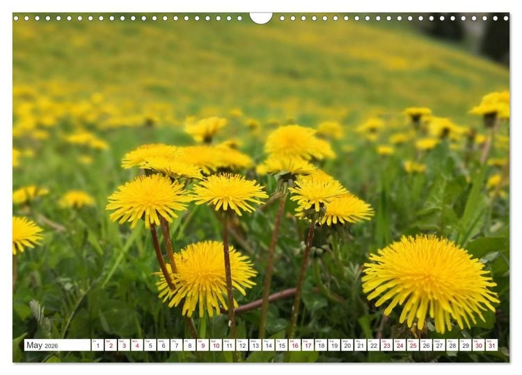 Produktbild: Engadine 2026 - Nature and landscapes (Wall Calendar 2026 DIN A3 landscape), CALVENDO 12 Month Wall Calendar
