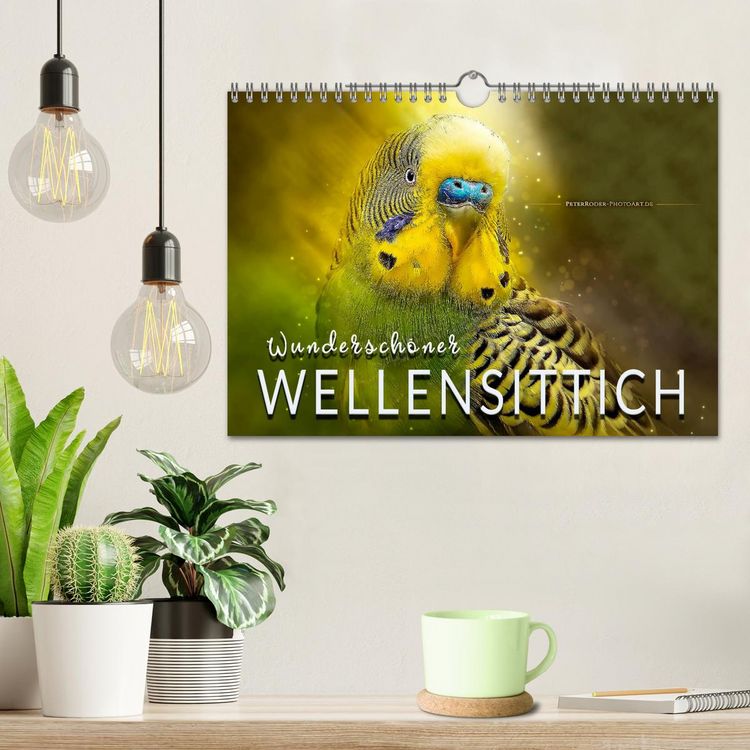 Produktbild: Wundersch&ouml;ner Wellensittich (Wandkalender 2026 DIN A4 quer), CALVENDO Monatskalender