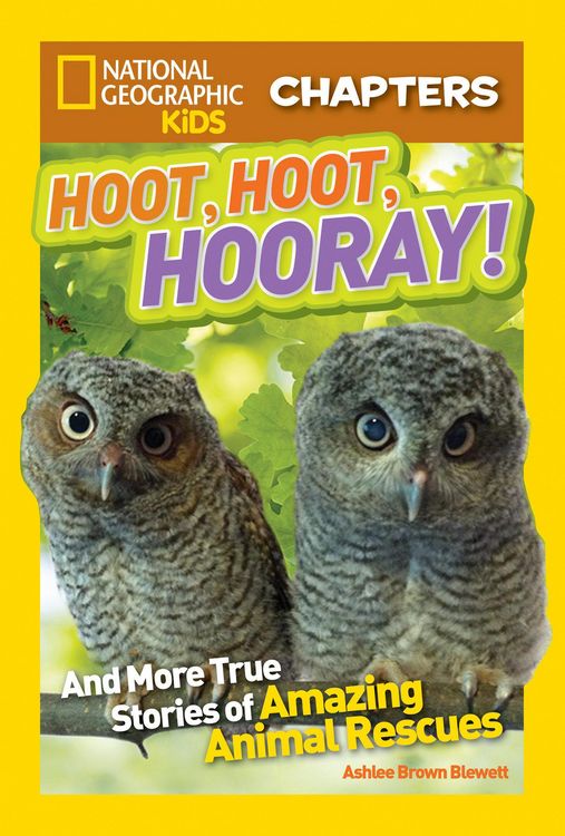 Produktbild: Hoot, Hoot, Hooray!