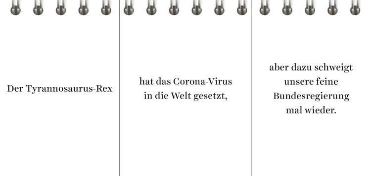Produktbild: Der Desinformator