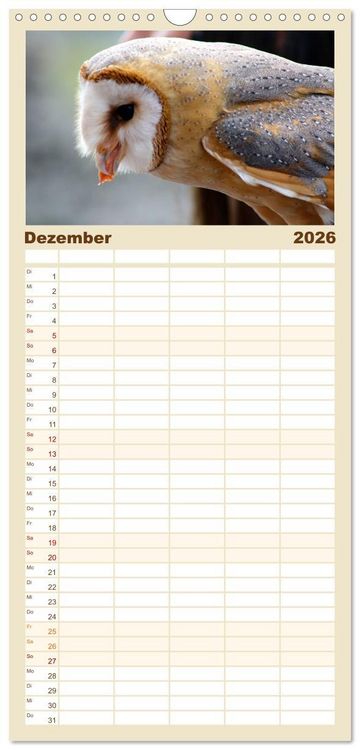 Produktbild: Familienplaner 2026 - Eulen. Gefiederte Weisheit mit 5 Spalten (Wandkalender, 21 x 45 cm) CALVENDO