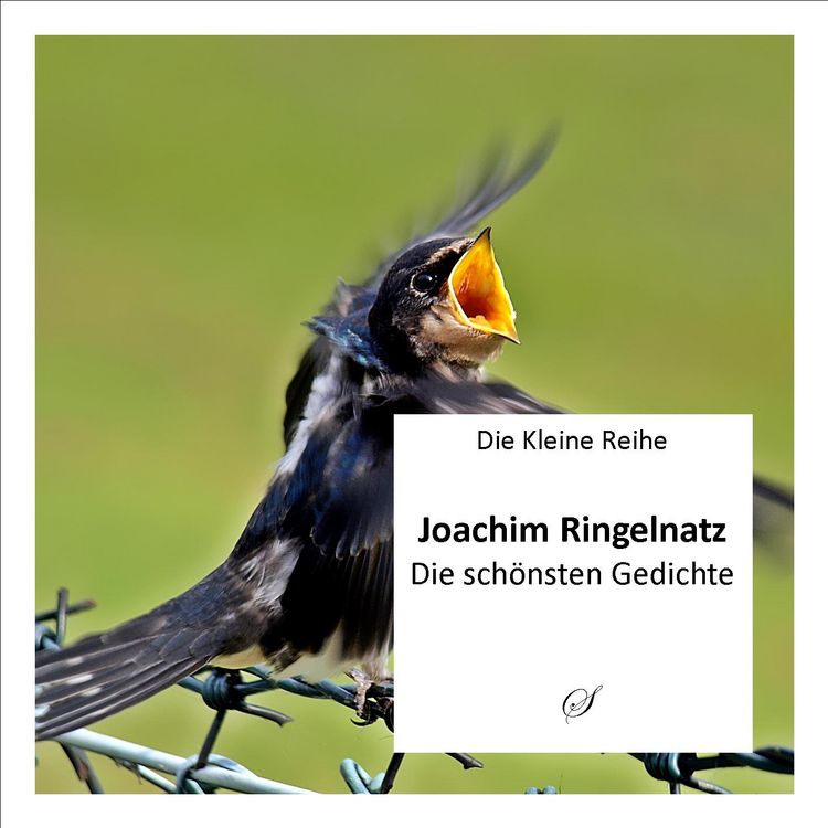 Produktbild: Die Kleine Reihe Bd. 9: Joachim Ringelnatz