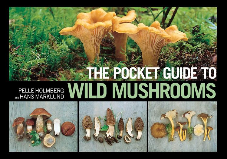 Produktbild: The Pocket Guide to Wild Mushrooms
