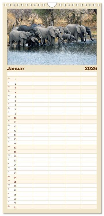 Produktbild: Familienplaner 2026 - begegnungen - elefanten im s&uuml;dlichen afrika mit 5 Spalten (Wandkalender, 21 x 45 cm) CALVENDO