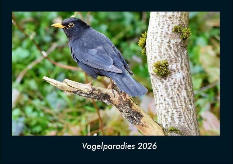Produktbild: Vogelparadies 2026 Fotokalender DIN A4