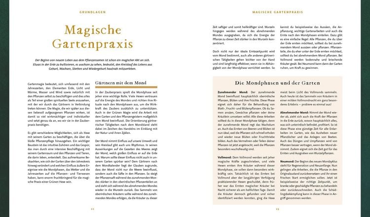 Produktbild: Magie im Hexengarten – Gärtnern mit grüner Magie