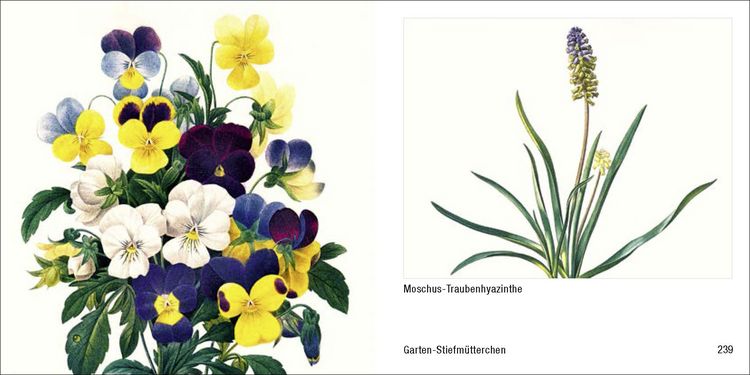 Produktbild: Historische Blumenbilder &ndash; Book To Go