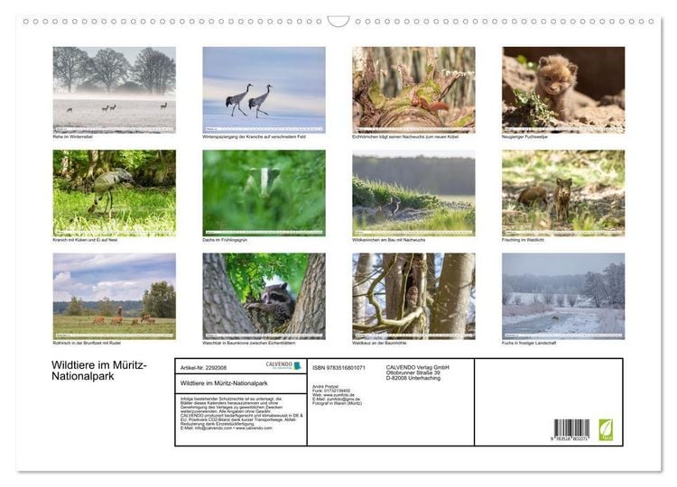 Produktbild: Wildtiere im M&uuml;ritz-Nationalpark (Wandkalender 2027 DIN A2 quer), CALVENDO Monatskalender