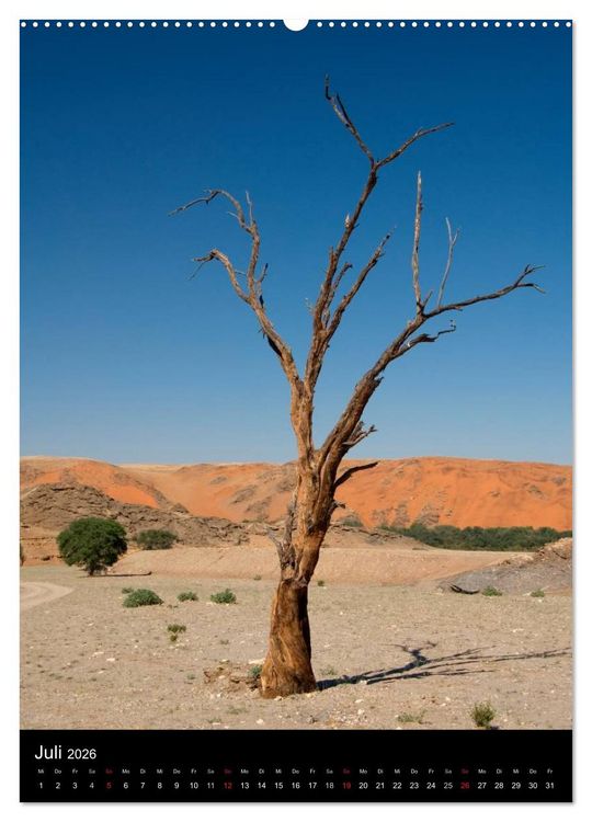 Produktbild: Faszination Namibia (Wandkalender 2026 DIN A2 hoch), CALVENDO Monatskalender