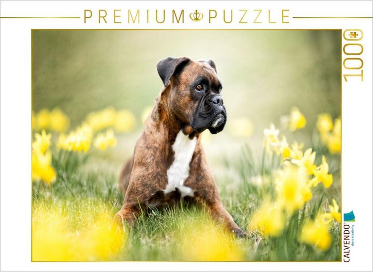 Produktbild: CALVENDO Puzzle Boxer im Bl&uuml;tenrausch | 1000 Teile Lege-Gr&ouml;&szlig;e 64x48cm Foto-Puzzle f&uuml;r gl&uuml;ckliche Stunden