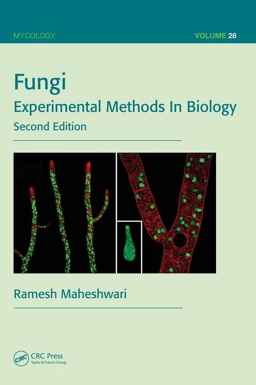 Produktbild: Fungi