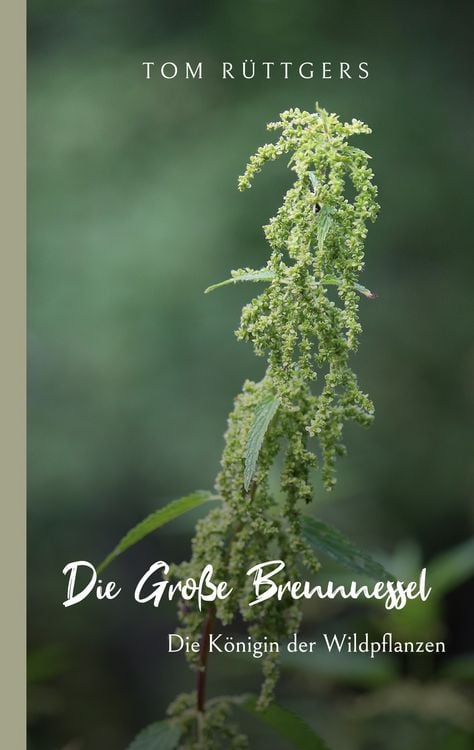 Produktbild: Die Gro&szlig;e Brennnessel