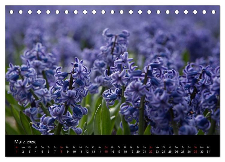 Produktbild: Ein fotografischer Streifzug durch Holland (Tischkalender 2026 DIN A5 quer), CALVENDO Monatskalender