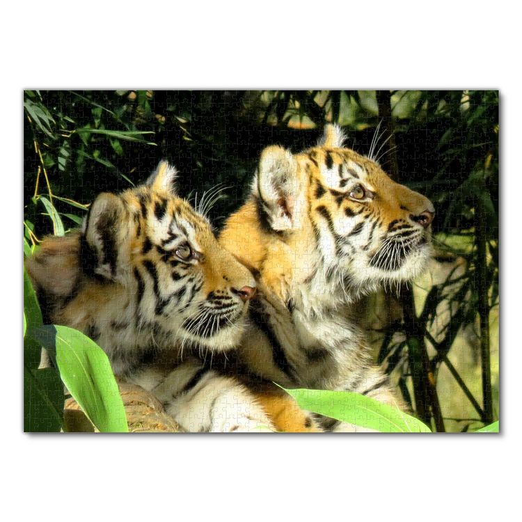 Lais Puzzle 1000 Teile – Tiger Motiv Von Andrey Ushakov