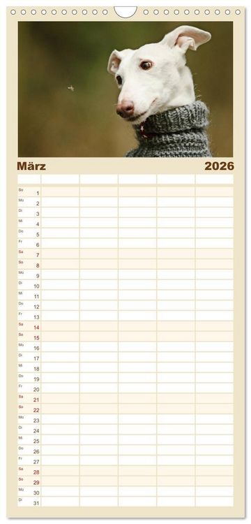 Produktbild: Familienplaner 2026 - Zauberhafte Windhunde mit 5 Spalten (Wandkalender, 21 x 45 cm) CALVENDO